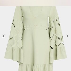 Alexis Green Ruffled Bell Sleeve Mini Dress
